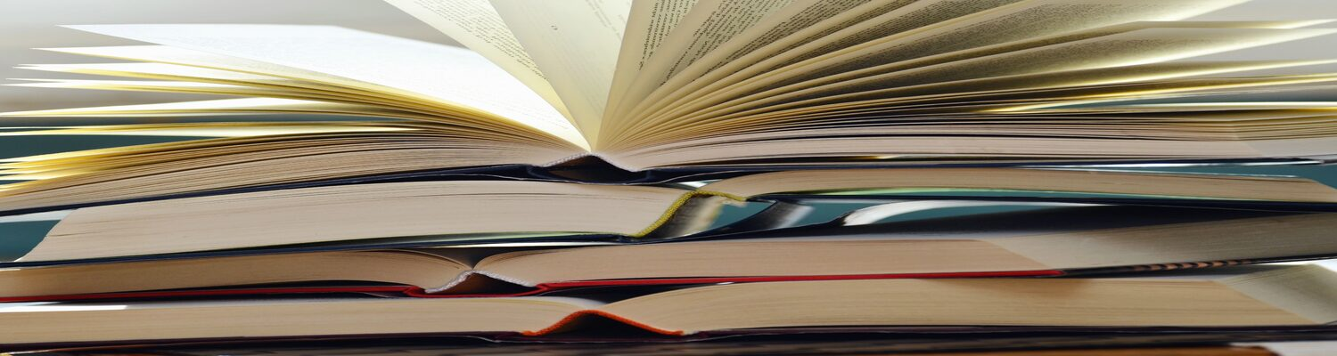 Imagen de referencia de 2020