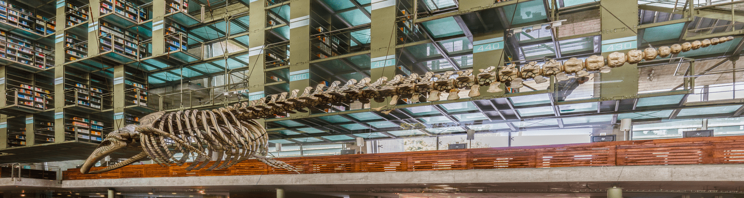 Imagen de referencia de Los marmoleros del Cementerio Central